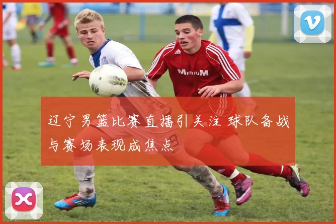 辽宁男篮比赛直播引关注 球队备战与赛场表现成焦点