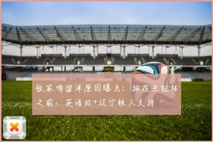 张家鸣留洋原因曝光：排在王钰栋之前，英语好+辽宁铁人支持