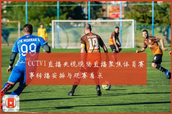 CCTV1直播央视现场直播聚焦体育赛事转播安排与观赛看点