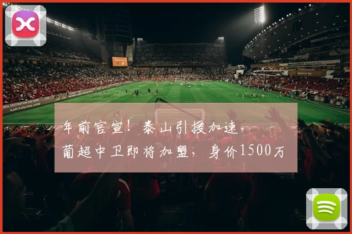 年前官宣！泰山引援加速， ​​​葡超中卫即将加盟，身价1500万