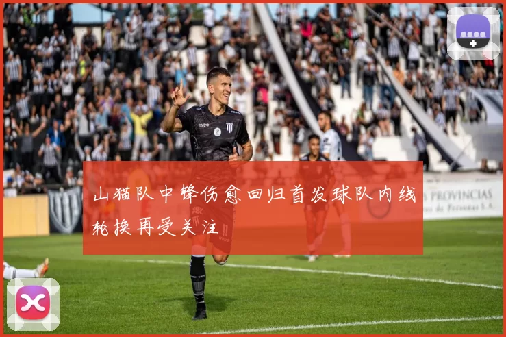 山猫队中锋伤愈回归首发球队内线轮换再受关注