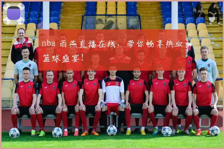 nba 雨燕直播在线，带你畅享热血篮球盛宴！