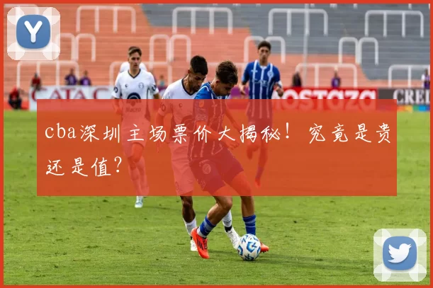 cba深圳主场票价大揭秘!究竟是贵还是值?
