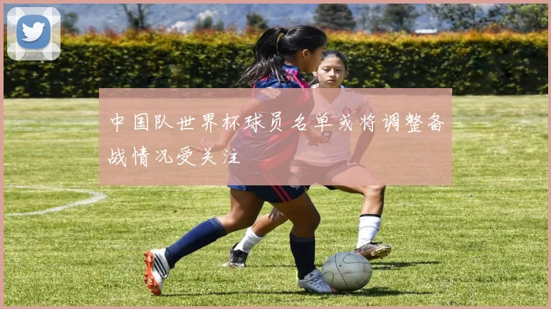 中国队世界杯球员名单或将调整备战情况受关注