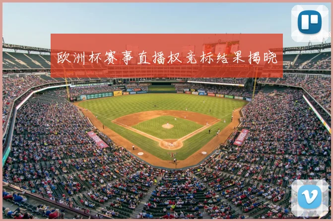 欧洲杯赛事直播权竞标结果揭晓