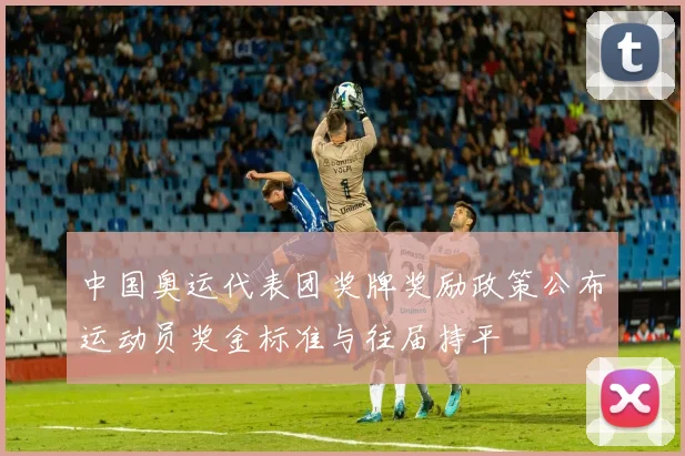 中国奥运代表团奖牌奖励政策公布运动员奖金标准与往届持平