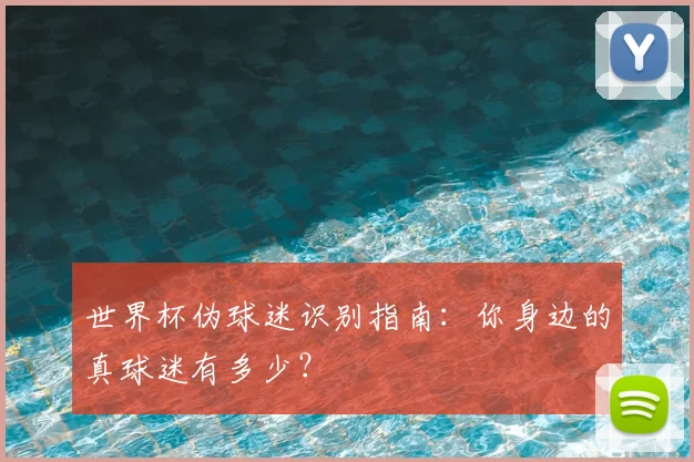 世界杯伪球迷识别指南:你身边的真球迷有多少?