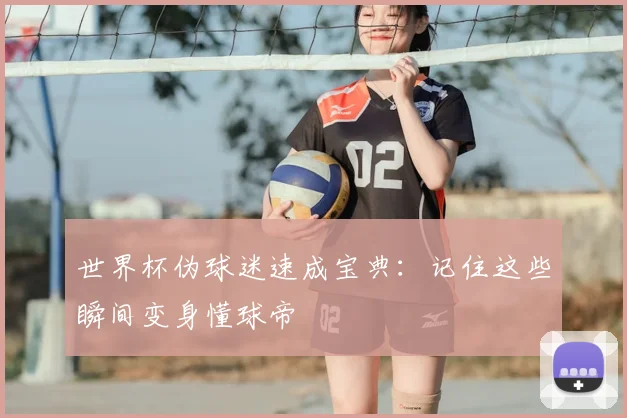 世界杯伪球迷速成宝典:记住这些瞬间变身懂球帝